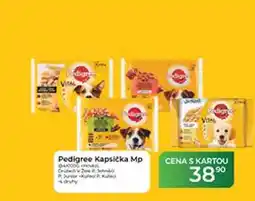Tamda Foods Pedigree Kapsička Mp nabídka