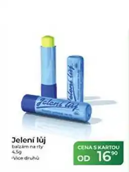 Tamda Foods Jelení lůj balzám na rty nabídka