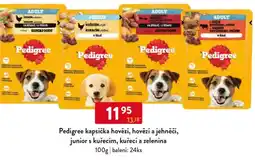 Qanto Pedigree kapsička hovězí, hovězí a jehněčí, junior s kuřecím, kuřecí a zelenina nabídka