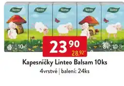 Qanto Kapesníčky Linteo Balsam nabídka