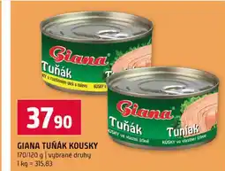 Terno GIANA TUŇÁK KOUSKY 170/120 g nabídka