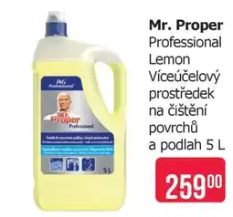 Teta Mr. Proper Professional Lemon nabídka