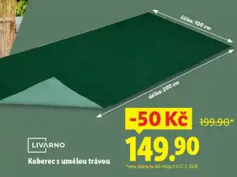 KOBEREC S UMĚLOU TRÁVOU