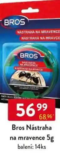 Qanto Bros Nástraha na mravence nabídka