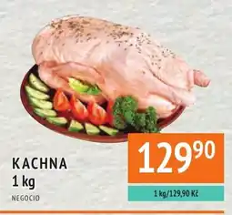 Coop hb Kachna nabídka
