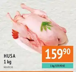 Coop hb Husa nabídka