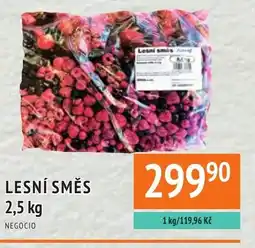 Coop hb Lesní směs nabídka