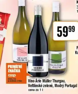 TEMPO Vino Arie Müller Thurgau, Veltlínské zelené, Modrý Portugal nabídka