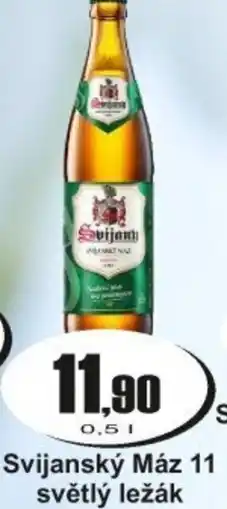 Adam Svijanský Máz 11 světlý ležák nabídka