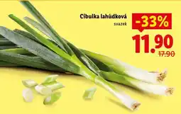 Lidl Cibulka lahůdková svazek nabídka