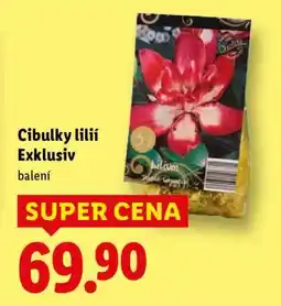 Lidl Cibulky lilií Exklusiv nabídka