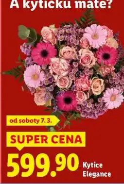 Lidl Kytice Elegance nabídka