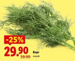Lidl Kopr nabídka