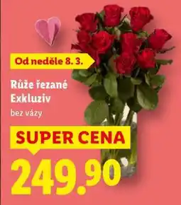 Lidl Růže řezané Exkluziv nabídka