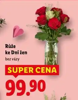 Lidl Růže ke Dni žen nabídka