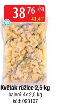 Qanto Květák růžice nabídka