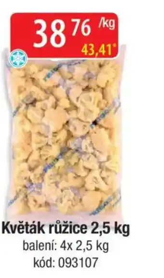 Qanto Květák růžice nabídka