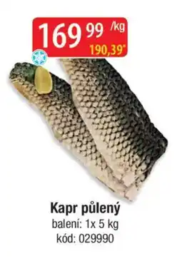 Qanto Kapr půlený nabídka