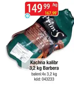 Qanto Kachna kalibr Barbera nabídka