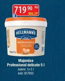 Qanto HELLMANN'S Professional delicate nabídka