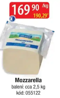 Qanto Mozzarella nabídka