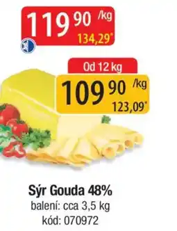 Qanto Sýr Gouda 48% nabídka
