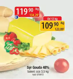 Qanto Sýr Gouda 48% nabídka
