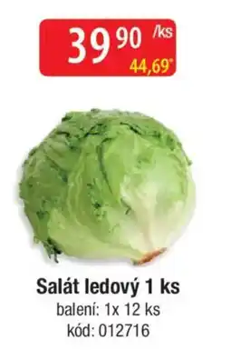 Qanto Salát ledový nabídka