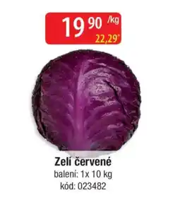 Qanto Zelí červené nabídka