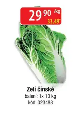 Qanto Zelí čínské nabídka