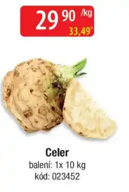 Qanto Celer nabídka