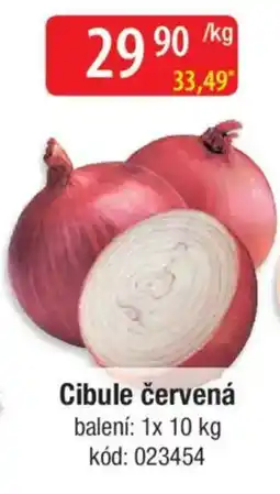 Qanto Cibule červená nabídka