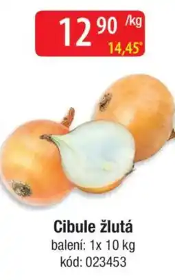 Qanto Cibule žlutá nabídka