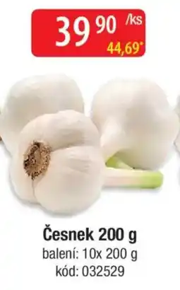 Qanto Česnek nabídka