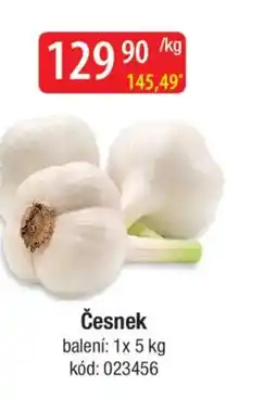 Qanto Česnek nabídka