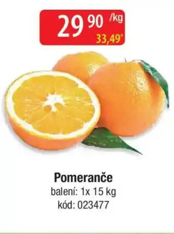 Qanto Pomeranče nabídka