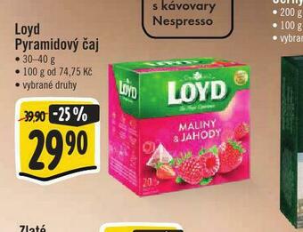 Jip Loyd pyramidový čaj nabídka