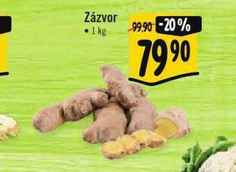 Albert Zázvor nabídka