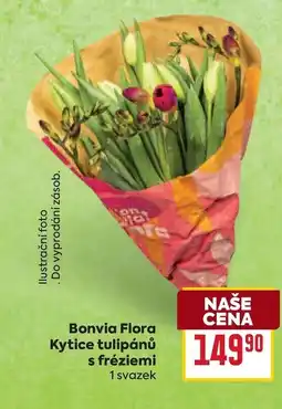 Billa Bonvia Flora Kytice tulipánů s fréziemi nabídka