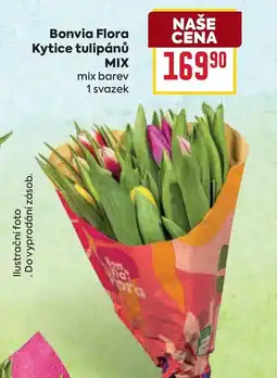 Billa Bonvia Flora Kytice tulipánů MIX nabídka