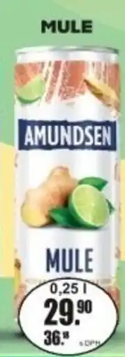Adam Amundsen mule nabídka
