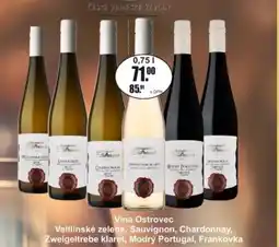 Adam Vina Ostrovec Veltlínské zelené, Sauvignon, Chardonnay, Zweigeltrebe klaret, Modrý Portugal, Frankovka nabídka