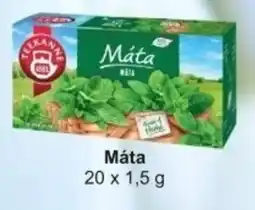 Adam Teekanne Máta nabídka