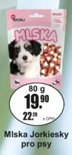 Adam Miska Jorkiesky pro psy nabídka