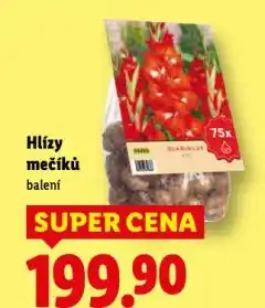 Lidl Hlízy mečíků nabídka