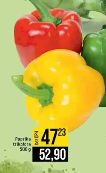 Jip Paprika trikolora nabídka