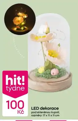 Pepco Led dekorace nabídka