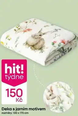 Pepco Deka s jarním motivem nabídka