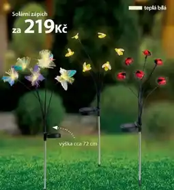 NKD Solární zápich nabídka