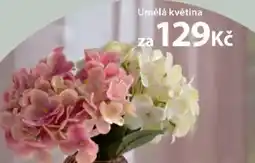 NKD Umělá květina nabídka